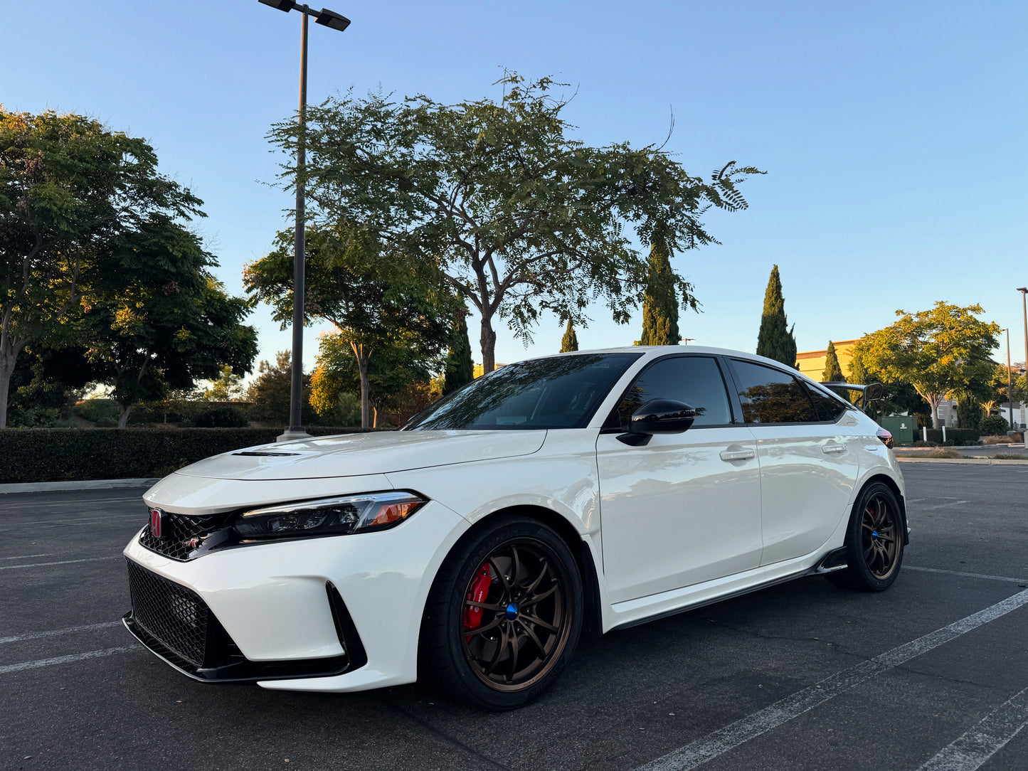 Mugen MF10 FK8/FL5 Spec - Bronze (18x9.5 + 45) w/Black Center Caps